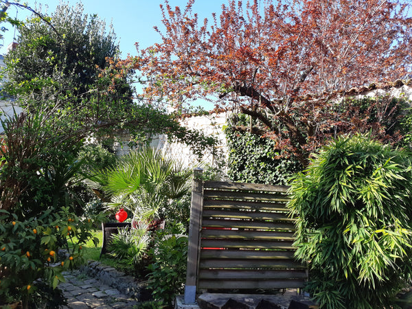 Découvrez un pied à terre calme et ensoleillé à 2 pas du centre ville.<br />Ce s Bordeaux, France Gite studio ensoleillé sur cour et vue sur jardin Entire rental unit vacation rental 33233949