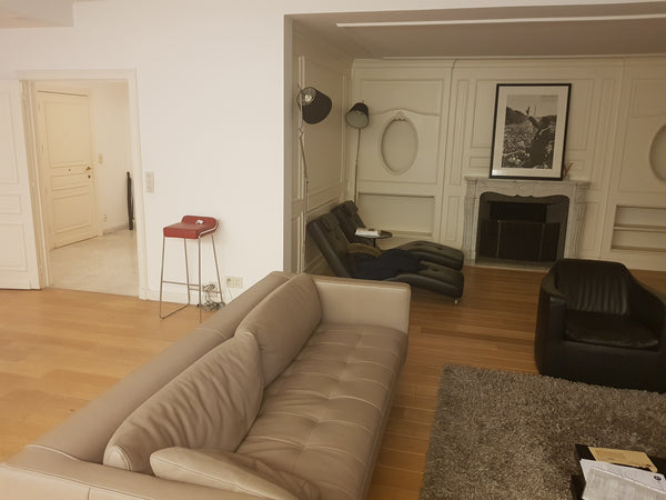 Appartement de luxe de 200m2, avec 2 chambres, salon, cuisine, 2 salles d'eau.  Emile Demot Entire rental unit vacation rental 31187035