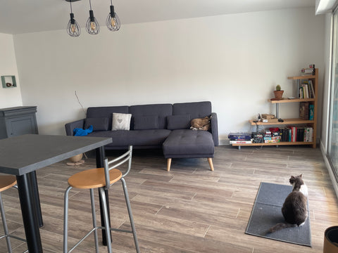 Salut, je propose une chambre dans mon appartement refait à neuf dans un coin ca Bordeaux, France Chambre dans appartement totalement rénové Private room in rental unit vacation rental 639753278385215344