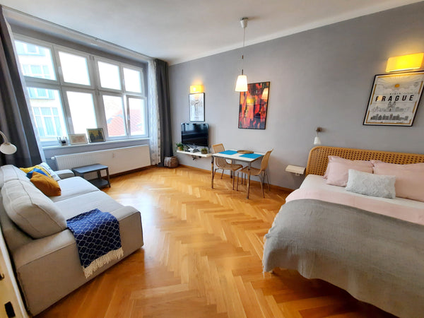 High standarts and the best location for your stay in Prague.<br /><br /><b>The  Prague, Czechia Apartment Central Prague Old Town Self check-in :) Entire rental unit vacation rental 247267