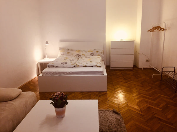 Diese kleine, gemütliche Wohnung  befindet sich im 9. Bezirk, sehr zentral in de Vienna, Austria Vienna - Cosy apartment near city center Entire rental unit vacation rental 18320085