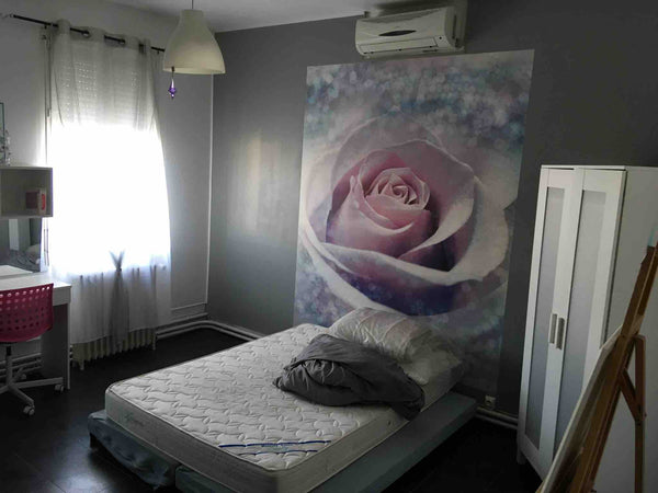 maison de rénovation ressente  avec du charme et de la vie. axes stratégique qui Bordeaux, France Grande chambre  télévision douche climatisé Private room in home vacation rental 26325365