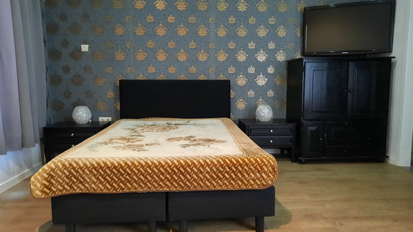 Apartment in Antwerp Belgium Entire rental unit vacation rental 15519371