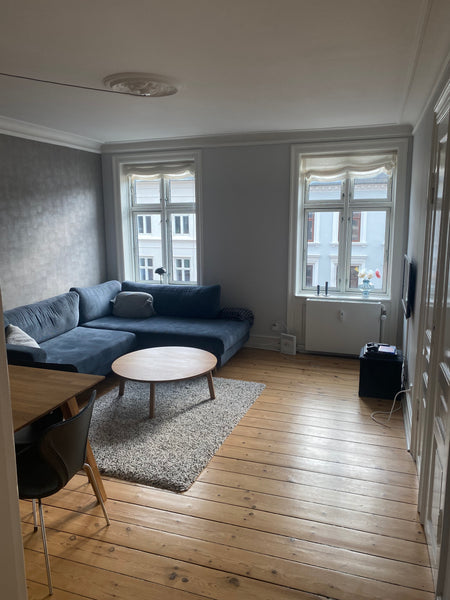 Cozy two-bedroom apartment at 4 th floor in the heart of Østerbro. The apartment  Modern apartment at Østerbro in a calm area Entire rental unit vacation rental 642608255500601709