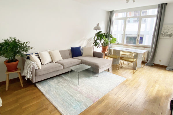 Bienvenue dans mon appartement super central, très douillet et calme. C'est un l Brussels, Belgium Bruxelles : lumineux et cosy Entire rental unit vacation rental 594858765966818185