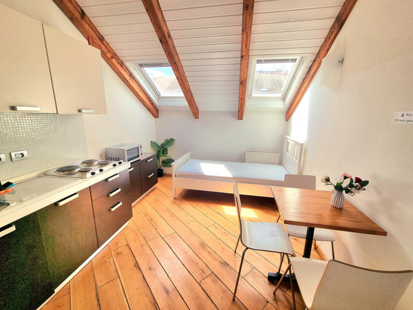 Private apartment.<br />Own Kitchen, Bath room, Living room and Bed room.<br />- Prague, Czechia Perfect location S3 Entire condo vacation rental 43834017