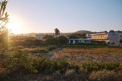 Family-owned seaside studios located in the beautiful island town of Kefalos. En  Oceanfront Studios with Amazing Views Room in hotel vacation rental 44136159
