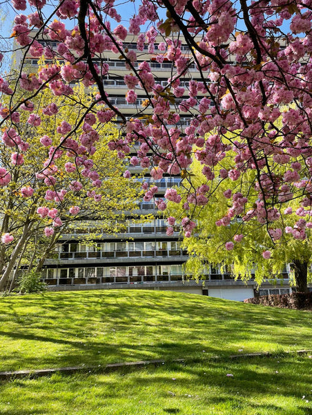 Détendez-vous dans ce logement calme et élégant.<br />Vue imprenable sur Bruxell Rixensart, Belgium Evere : Superbe appartement en résidence Entire condo vacation rental 50687768