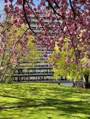 Détendez-vous dans ce logement calme et élégant.<br />Vue imprenable sur Bruxell Rixensart, Belgium Evere : Superbe appartement en résidence Entire condo vacation rental 50687768