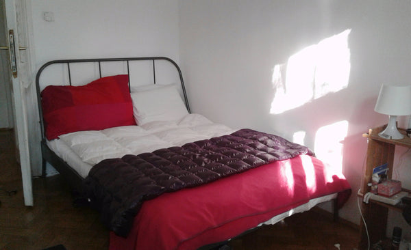 I'm looking for someone to sublet for the whole month of July and August! There' Vienna, Austria Spacious room in green area - close to Schönbrunn Private room in rental unit vacation rental 19011042