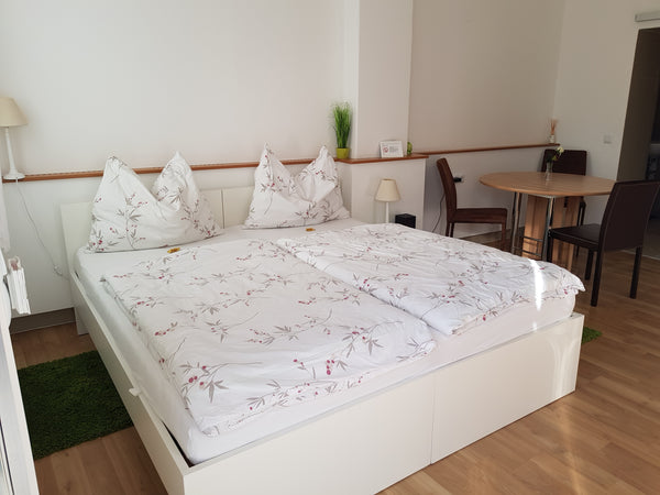 Es ist ein einfaches sauberes nettes Zimmer mit eigenen BAD/ WC. ( Separat liege Lanzendorf, Austria Privatzimmer 