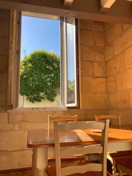 Situé à 150 mètres du parc Bordelais le plus vaste de Bordeaux,  vous serez sédu Bordeaux, France Dépendance en T1 bis parc Bordelais Private room in tiny home vacation rental 24200603