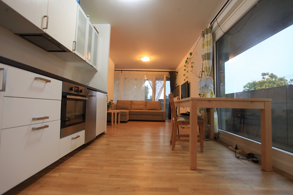 Diese Wohnung  ist ideal für ein Ehepaar  (Queen-Size-Bett, 160cm breit). Neben   Cosy Wohnung in der Nähe von  Doauinsel und UN Entire rental unit vacation rental 19264213