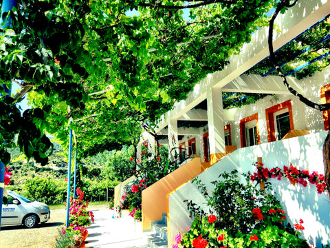 Alexi's studios are located in the beautiful village of Kefalos and run by a loc London, United Kingdom Alexis Studios 3 Entire rental unit vacation rental 37052036
