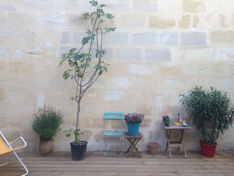 Belle maison avec cour et terrasse proche du centre et à deux pas du Jardin Publ Bordeaux, France Maison spacieux proche Jardin Public Entire home vacation rental 50147239