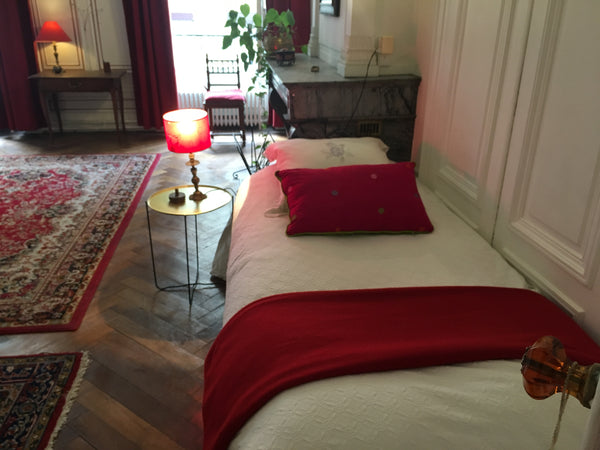 Profitez d'une très grande chambre privée au cœur d'un magnifique appartement an Lyon, France Calme et spacieuse chambre - Hypercentre Private room in rental unit vacation rental 18803314