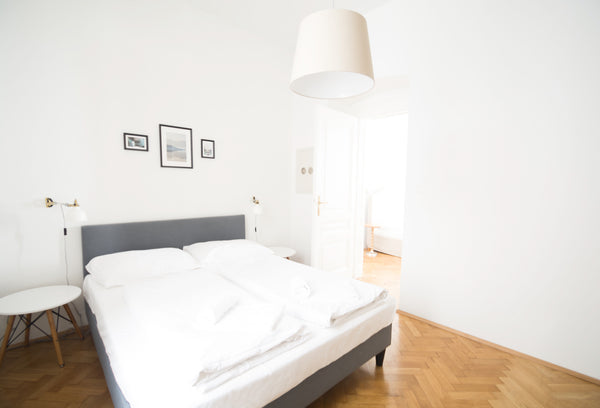 The apartment consists of:<br /><br />A beautifully decorated living room, that  Vienna, Austria Fabulous City Center Apartment - Apt 23 Entire rental unit vacation rental 39592845