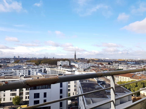 Dominant la vue  de la ville de Bordeaux, l'appartement se situe au 11ème étage  Sainte-Eulalie-en-Born, France Chambre au pied de la gare Private room in condo vacation rental 40373523