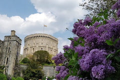 Half Day Private Guided Tour of Windsor Castle PLUS and History  Private Tours and Travel Guide Europe London CITY London Destination Tour Europe London CITY London