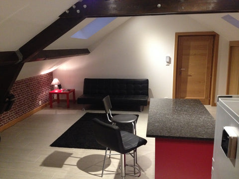 Joli petit appartement de 40 m² très moderne et design, bien équipé et confortab  Bel appartement moderne et design. Entire rental unit vacation rental 9708297