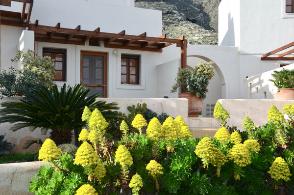 Peaceful and spacious, laid out on two levels, our home is the ideal accommodati Oia, Greece Absolute peace north villa by the volcanic slopes Cycladic home vacation rental 5249448