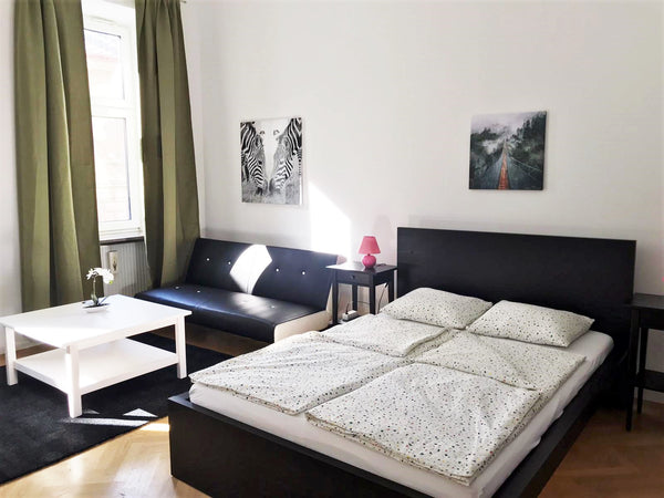 The apartment has a room (bed, sofa, TV), a kitchen, bathroom, separate toilet a Vienna, Austria small apartment in Wien-Hernals Entire rental unit vacation rental 44483507