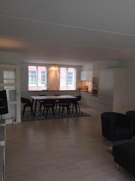 Luxus apartment with 2 full bathrooms and a prime location downtown Copenhagen.   Lux apartment/2 full bathrooms/Prime location Entire rental unit vacation rental 19108061