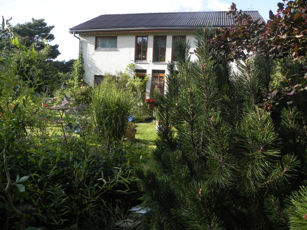 Dům stojí v zahradách skoro v centru Prahy, pod horou Vidoule. Ticho, slunce, vl  Room with garden and safe parking Private room in home vacation rental 7042192