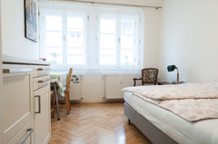 Cute Studio right after the restoration in the most beautiful part of Prague, Le Prague, Czechia Pretty Studio Perfect for Couples Entire rental unit vacation rental 36726460