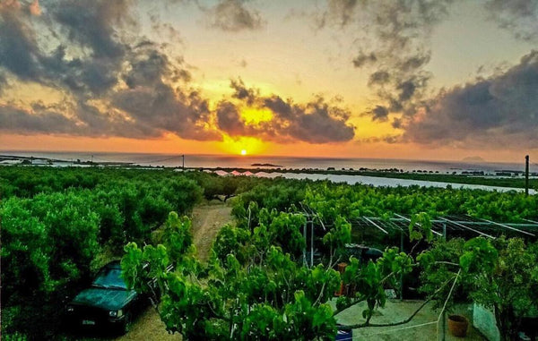 Pause Serenity house is located just 5km south of Falassarna famous beach. It gi Platanos, Greece Pause - Serenity House into Olive groves Entire home vacation rental 41337200