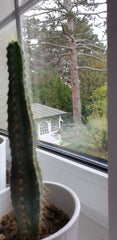 Disfruta de un encantador espacio para descansar y sentir la naturaleza <br />es Vienna, Austria Cozy place in Vienna Private room in rental unit vacation rental 39830238