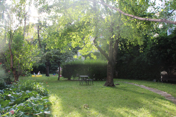 Zentral gelegenes Appartment - direkt vom Appartment ins Zentrum spazieren aber  Vienna, Austria Zentral ruhig entspannt Entire rental unit vacation rental 13697993