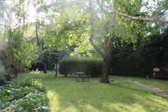 Zentral gelegenes Appartment - direkt vom Appartment ins Zentrum spazieren aber  Vienna, Austria Zentral ruhig entspannt Entire rental unit vacation rental 13697993
