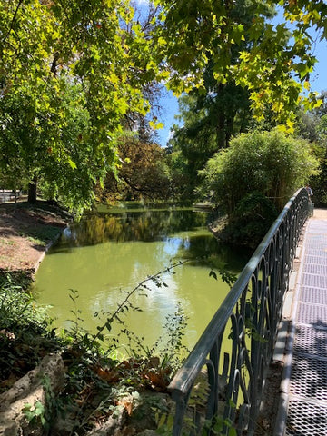 Vous souhaitez passer quelques jours dans notre belle région ? Notre appartement Bordeaux, France Jardin Public - Lagrange Entire rental unit vacation rental 50189339