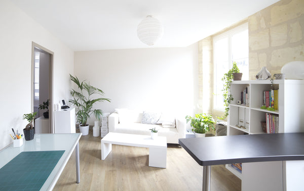 Charmant T2 de 40 M2. Appartement lumineux, moderne et épuré avec pierres appare Bordeaux, France Charmant T2 proche du centre ville Entire rental unit vacation rental 7066648