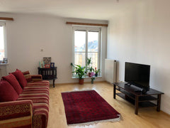 12 minutes to CityCenter, in a great neighborhood of the city(District 8) with a Vienna, Austria Sunny apartment in the 5th floor Entire rental unit vacation rental 39624072