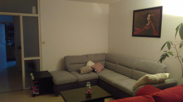 Mon logement (80m²) est proche des transports en commun (tram et bus), le centre Pessac, France Chambre basique mais bien placée Private room in rental unit vacation rental 25930756