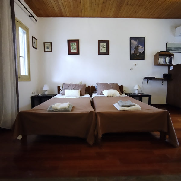 IT IS A 31M2 STUDIO WITH A FULLY EQUIPPED KITCHEN. IT IS ON THE MAIN ROAD BETWEE Greece ΝΙΚΟΣ 1 Entire rental unit vacation rental 19710714