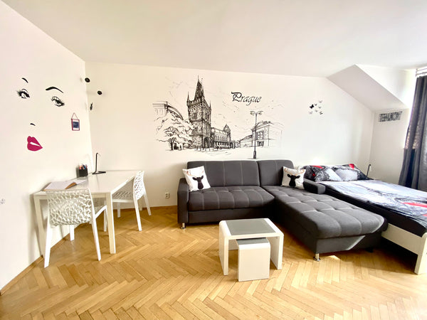 * Glorious apartment situated right in the City Center of Prague, 5 min walk to  Prague, Czechia Glamourous apartment in the city center Entire condo vacation rental 641845986327115591