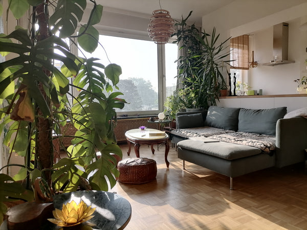 Zwijndrecht, Belgium Sunny apartment in the greenest suburb of Antwerp Entire rental unit vacation rental 52486335