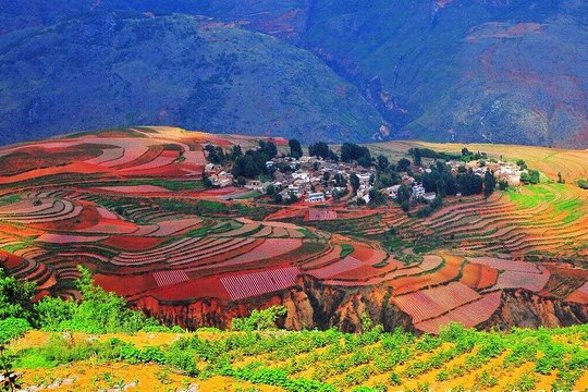 Private Dongchuan Red Land Sightseeing Day Tour from Kunming  Private Tours and Travel Guide Asia Shanghai CITY Kunming Destination Tour