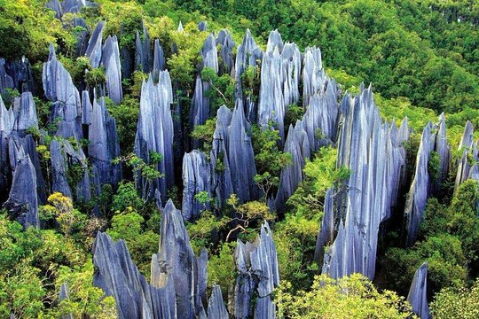 3 Day Private Relaxing Tour of Kunming including Stone Forest  Private Tours and Travel Guide Asia Shanghai CITY Kunming Destination Tour