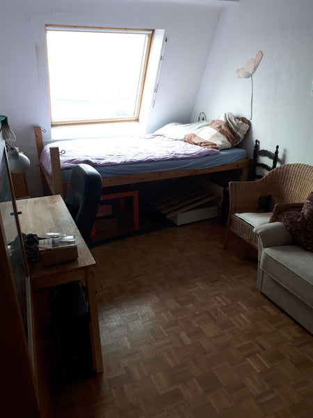 Two connected double rooms available in a large attic apartment near the main tr  2 double rooms in large attic apartment nr. Hbf Private room in rental unit vacation rental 22948595