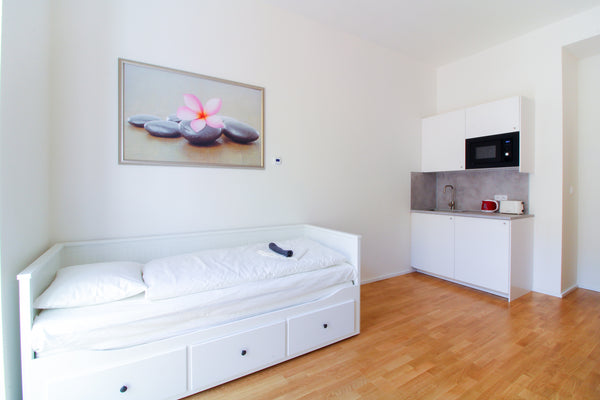 A spacious, bright, and fully furnished apartment in an excellent location in th Prague, Czechia Bouquet apartment 309 Entire rental unit vacation rental 39592418