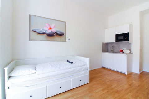 A spacious, bright, and fully furnished apartment in an excellent location in th Prague, Czechia Bouquet apartment 209 Entire rental unit vacation rental 39591681