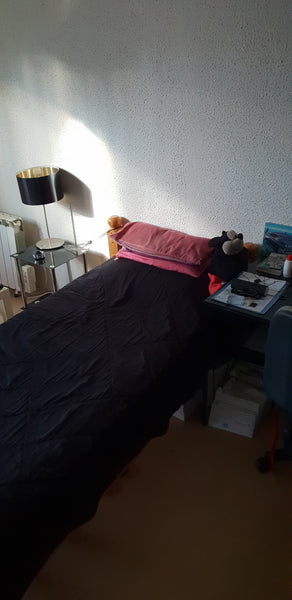 Apparemment correcte  Chambre bordeaux Private room in rental unit vacation rental 29303640