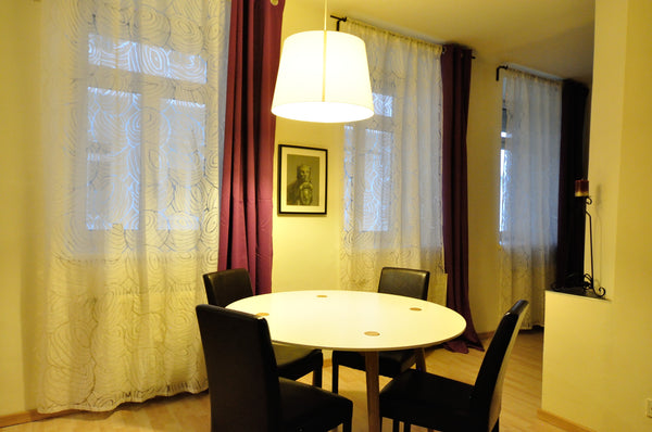 Charming 41 m2, recently renovated 2-room studio apartment, located near center  Vienna, Austria Just renovated great apartment near center Vienna Entire rental unit vacation rental 1933206