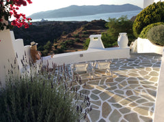 Two floor semi-detatched house.The spacious interior of the house is decorated w Thessaloniki, Greece Bougainvillea House Entire home vacation rental 11173362