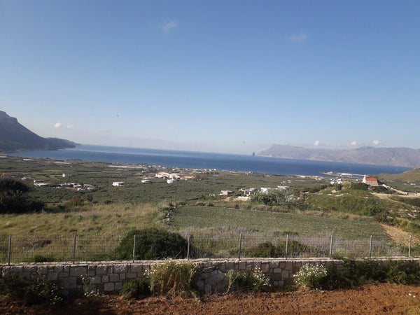 Our studio is located in a peaceful and full of green property.<br />There is a   Cozy secluded studio with panoramic view Entire home vacation rental 34409990