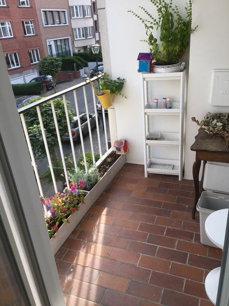 Ce logement, idéal pour couple ou famille(jeux à disposition) est proche de tous Brussels, Belgium Woluwe Saint Lambert appartement cosi et lumineux Entire rental unit vacation rental 52384756